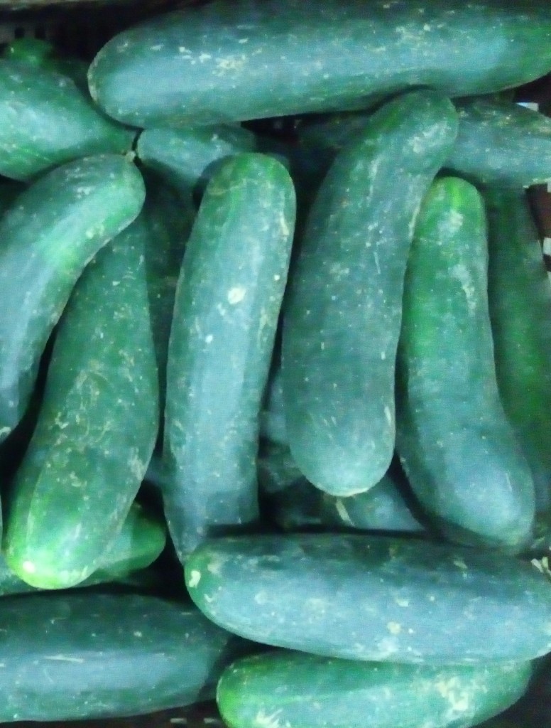 Pepino cohombro