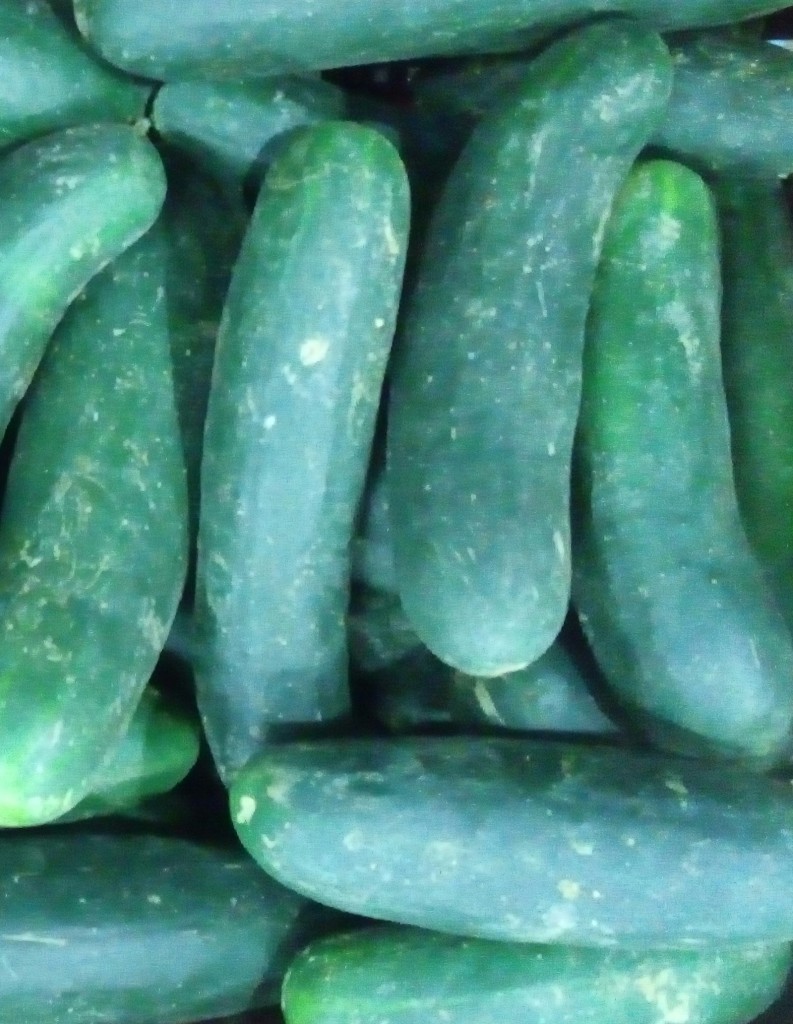 Pepino cohombro