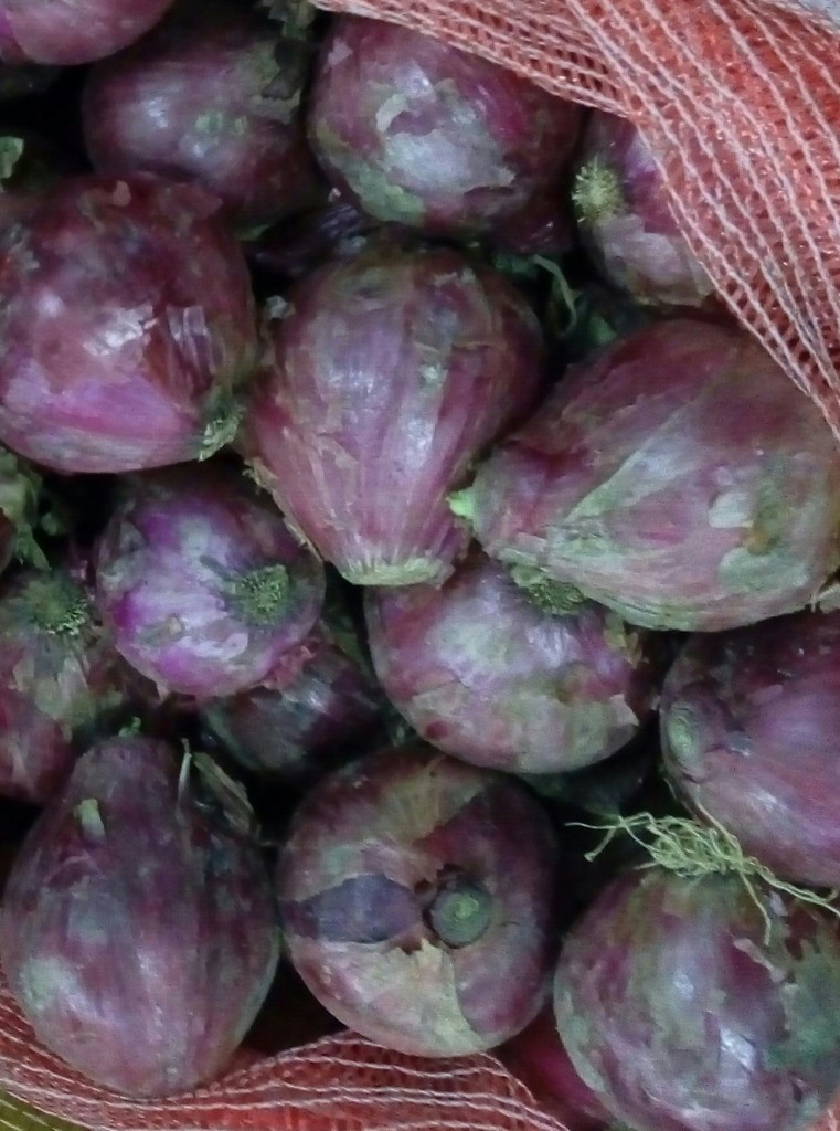 Cebolla cabezona morada