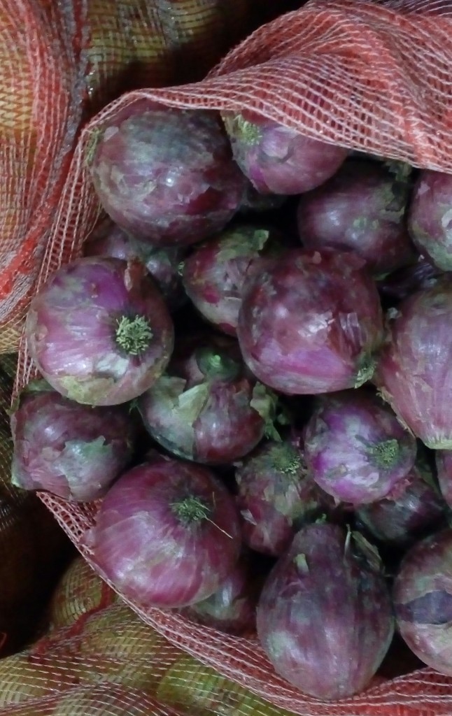 Cebolla cabezona morada