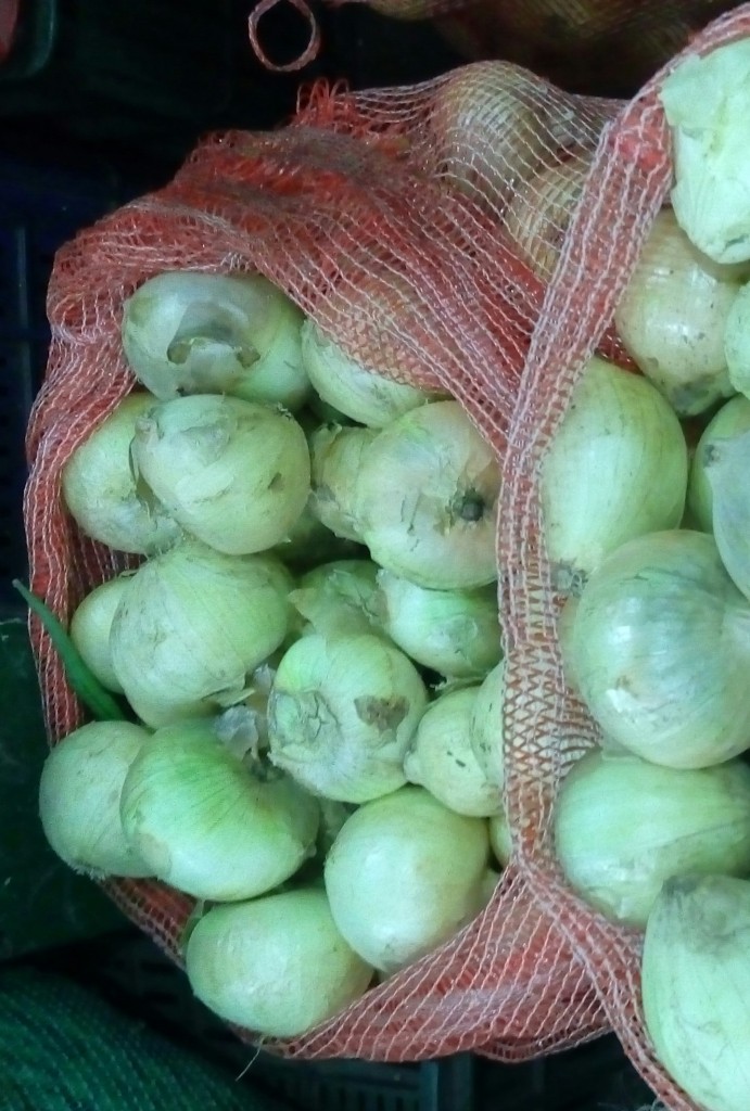 Cebolla cabezona de primera