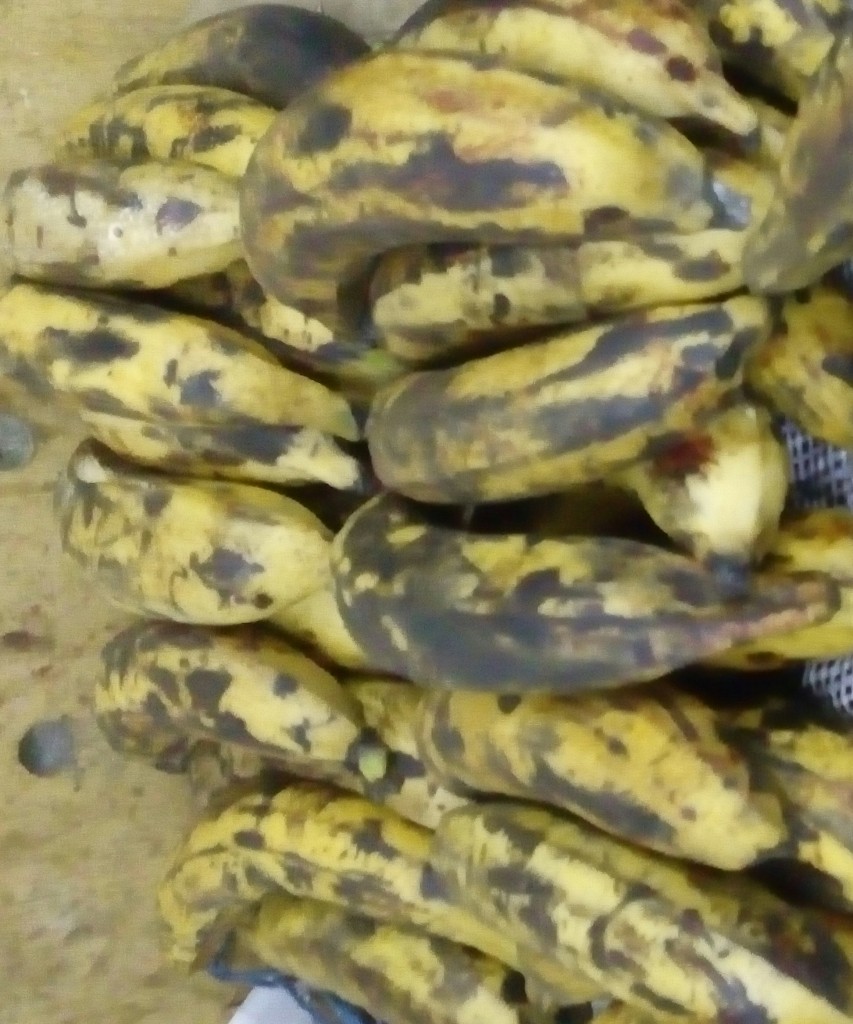 Plátano maduro