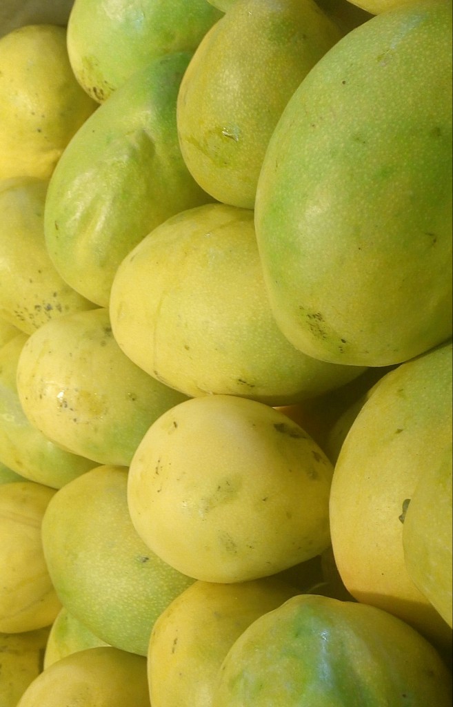 Mango común