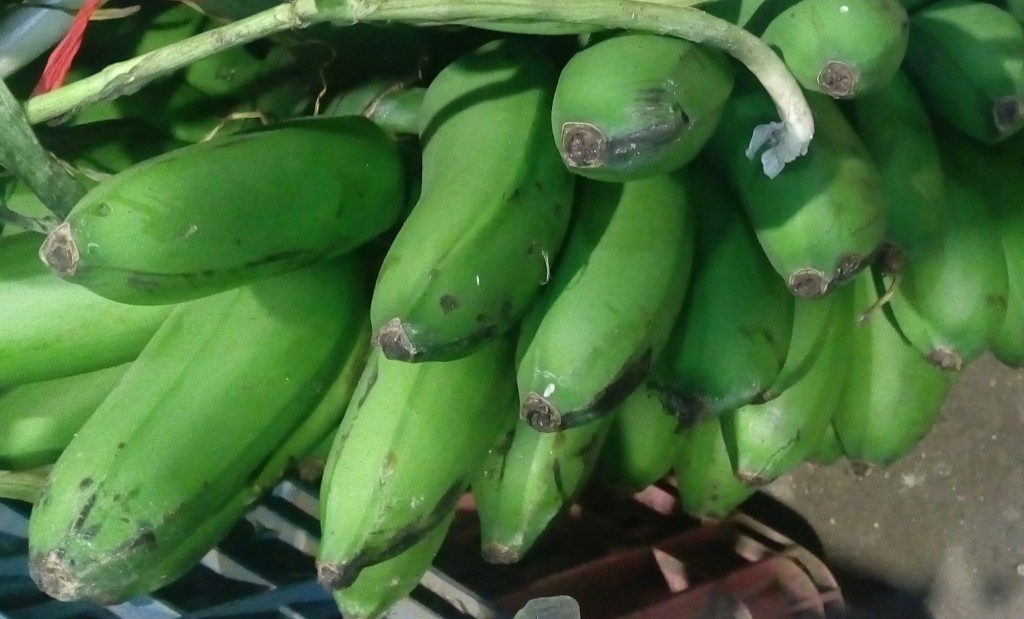 Colicero