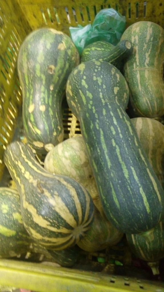 Ahuyama sapayo