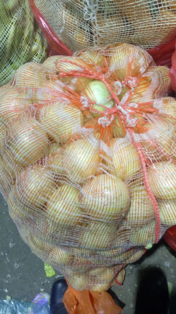 Cebolla cabezona fina