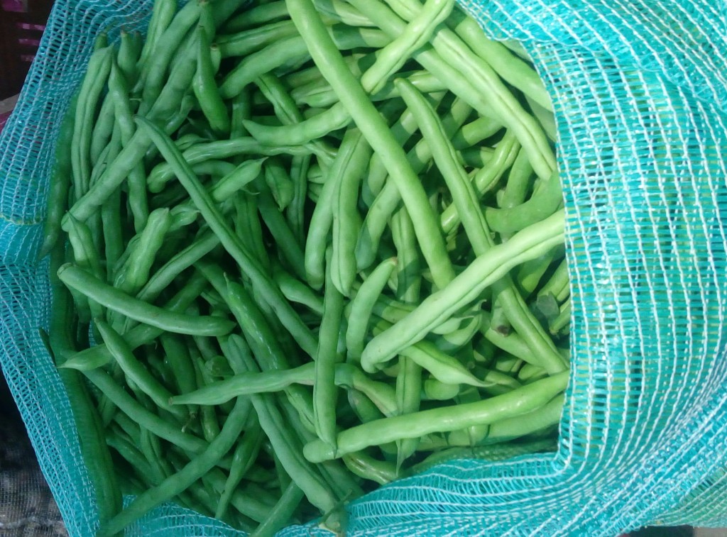 Habichuelas
