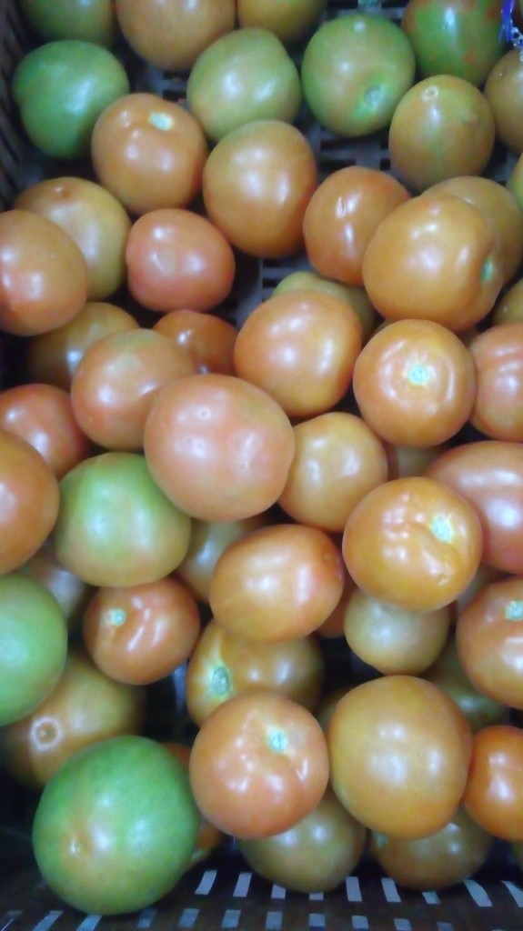 Tomate chonto de segunda