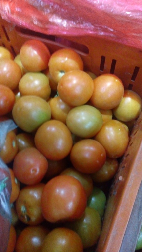 Tomate chonto de primera
