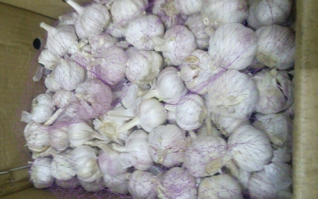 Ajo blanco