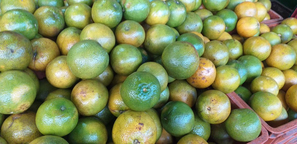 naranja valencia