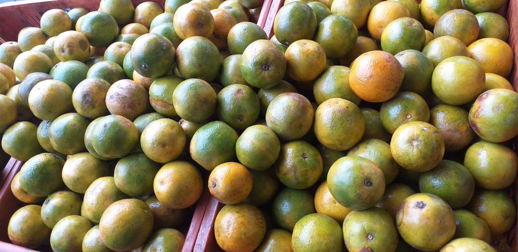 Naranja valencia de 2da