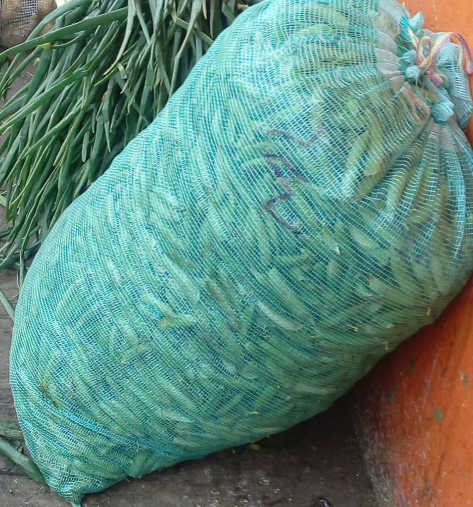 Arveja en cascara