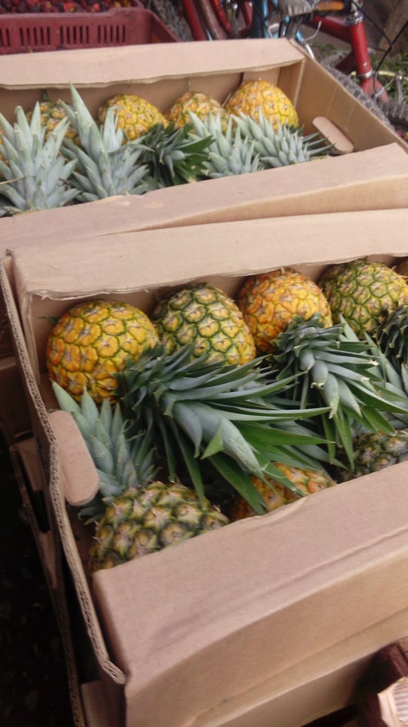 Piña golden