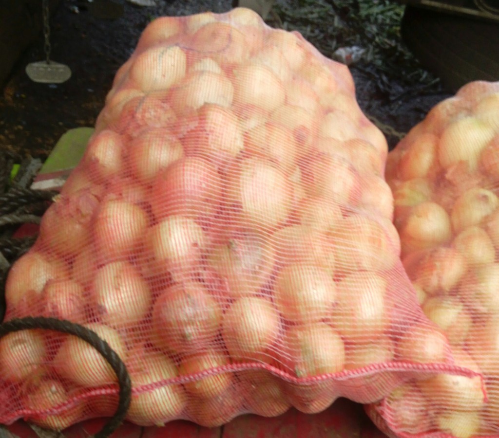 Cebolla cabezona