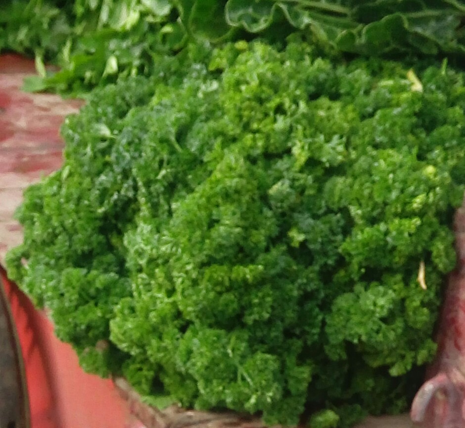 Brócoli