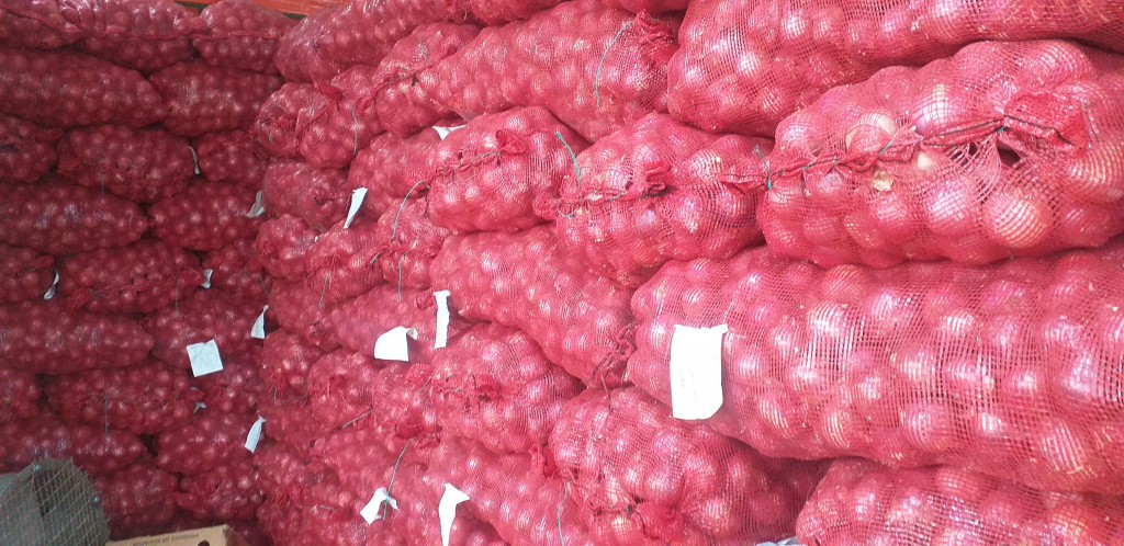 Cebolla peruana