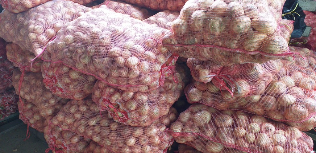 Cebolla blanca gruesa
