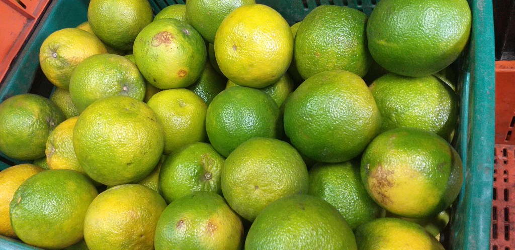 Naranja valencia de 1ra