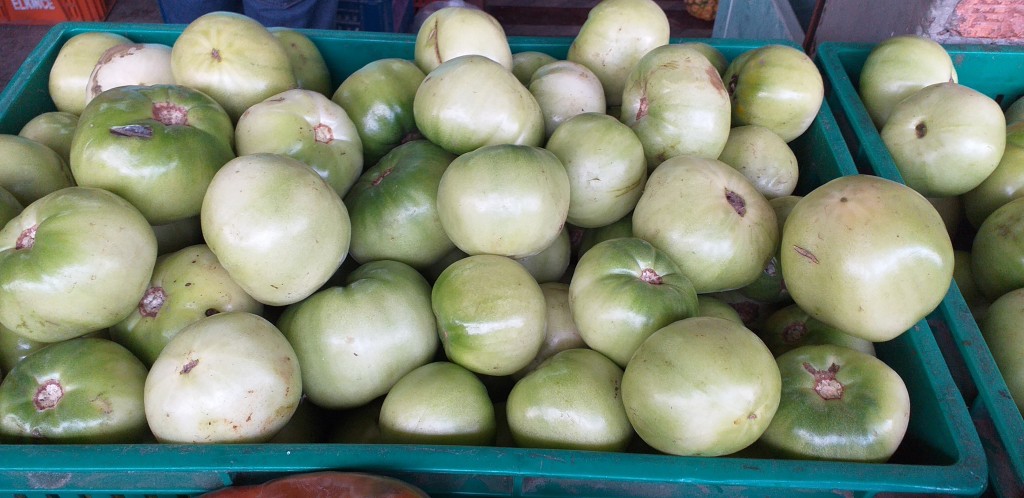 Tomate riñon