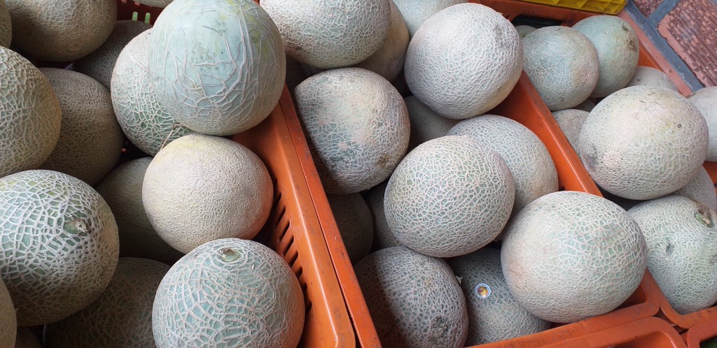 Melon