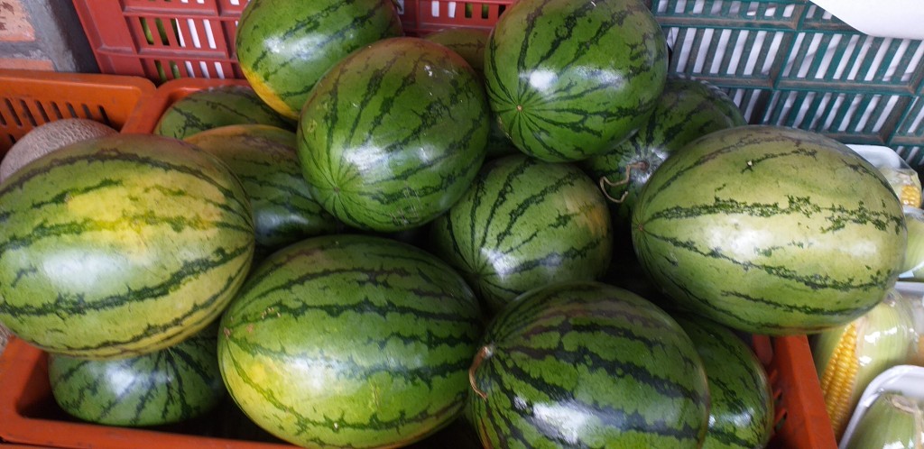 Sandia baby