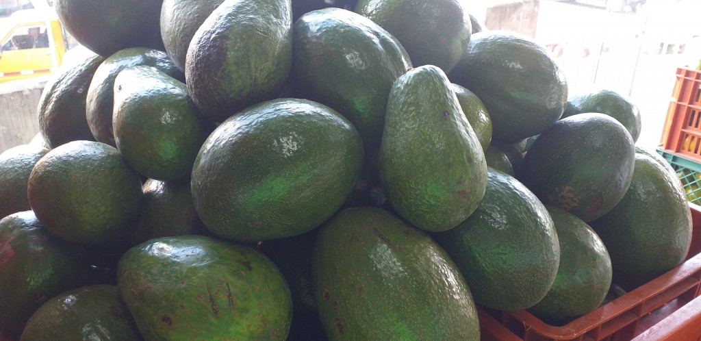 Aguacate choquette