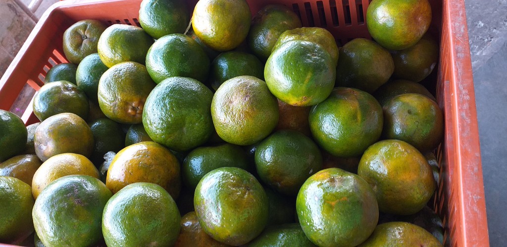 Mandarina oneco