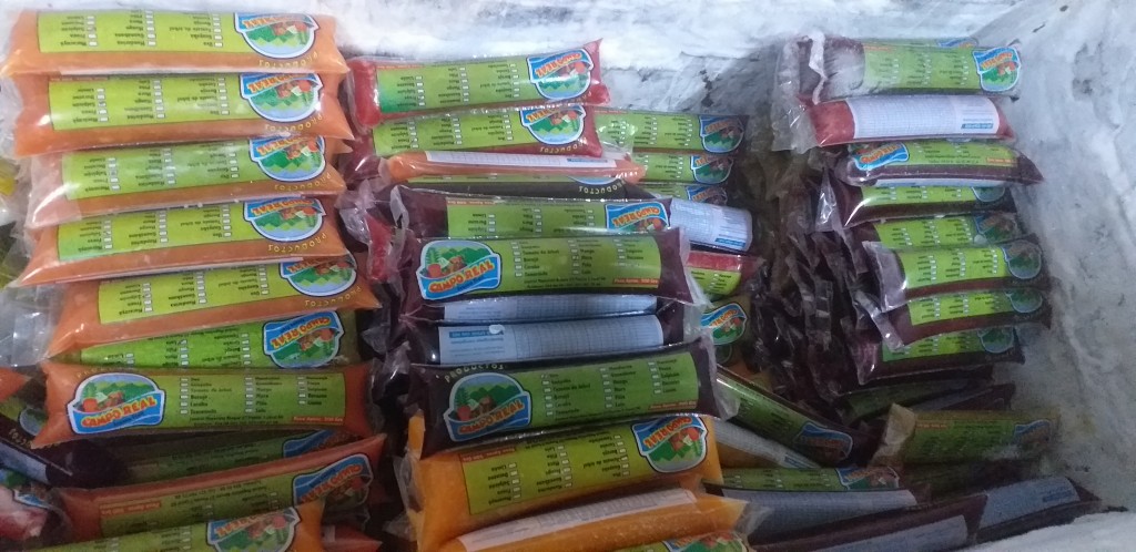 Pulpa de frutas surtidas