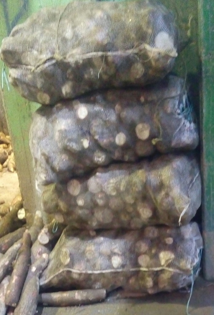 Yuca