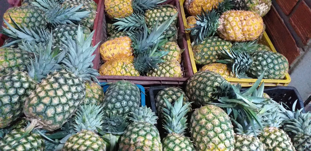 Piña oromiel 2da