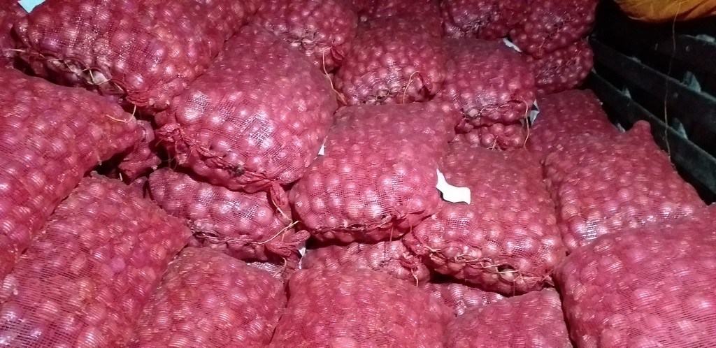 Cebolla ocañera