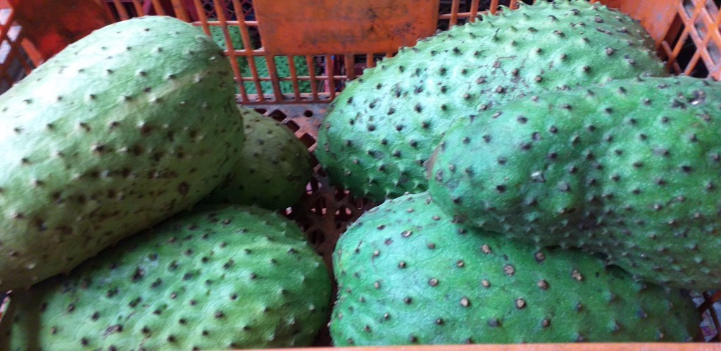 Guanabana selecta