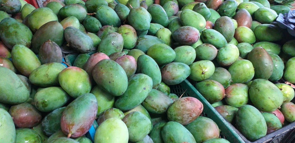 Mango farchi