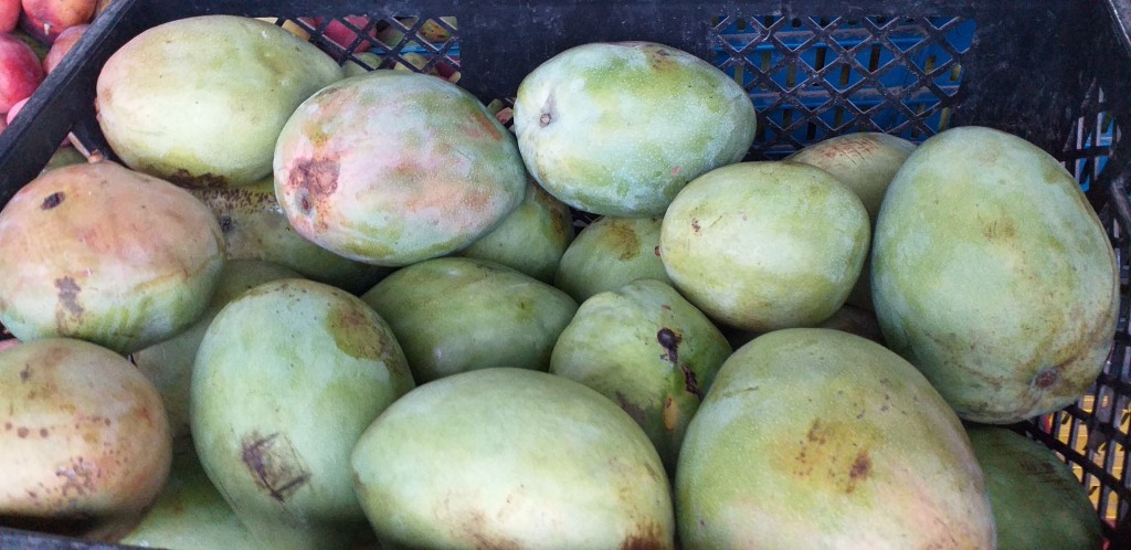 Mango filipino