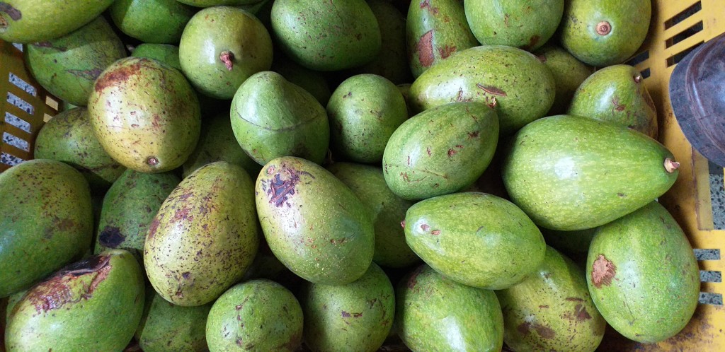 Aguacate papelillo de 2da