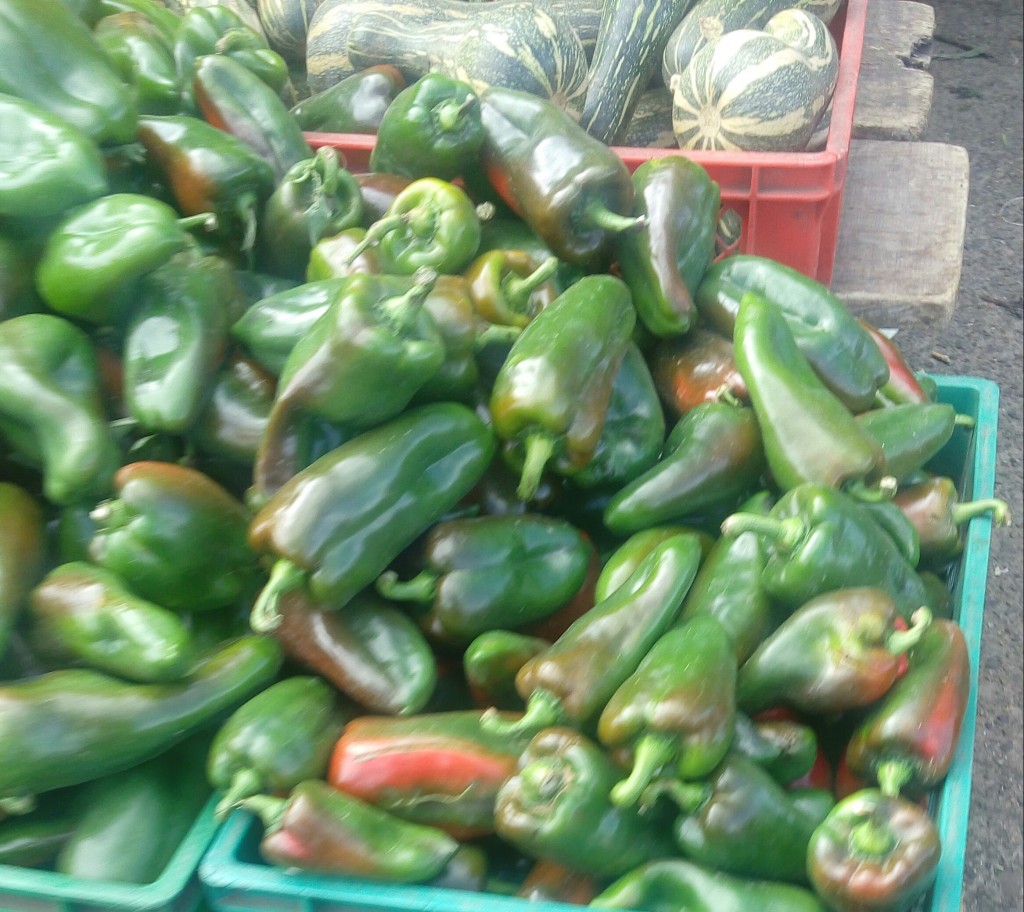 Pimentón verde