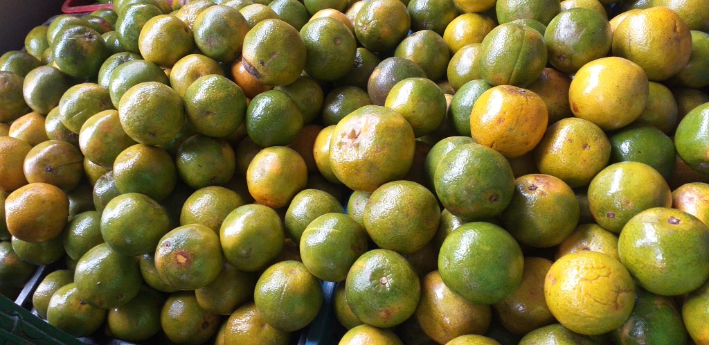 Naranja valencia 2da
