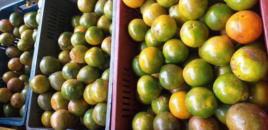 Naranja washington