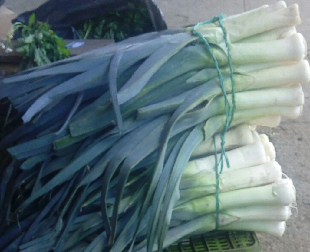 Cebolla puerro