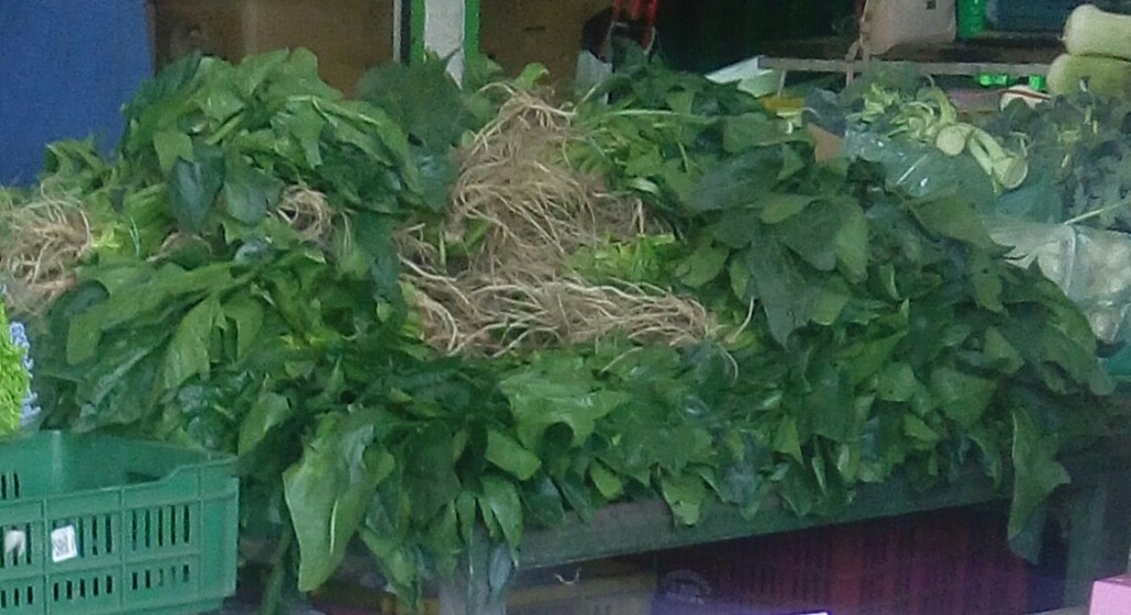 Espinacas