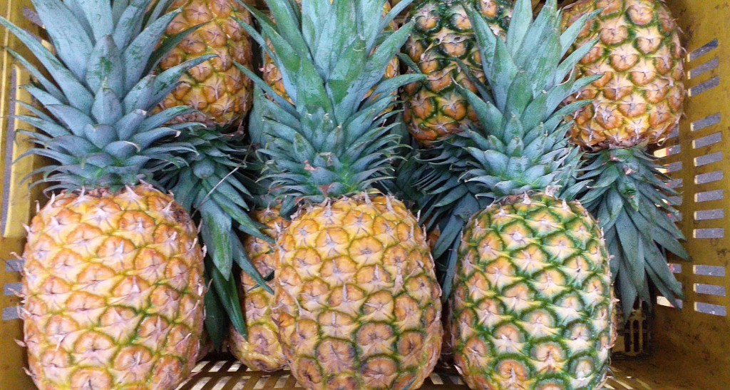 Piña oromiel