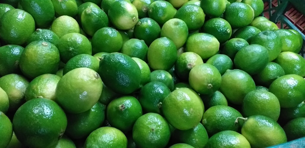 Limon tahiti delgado
