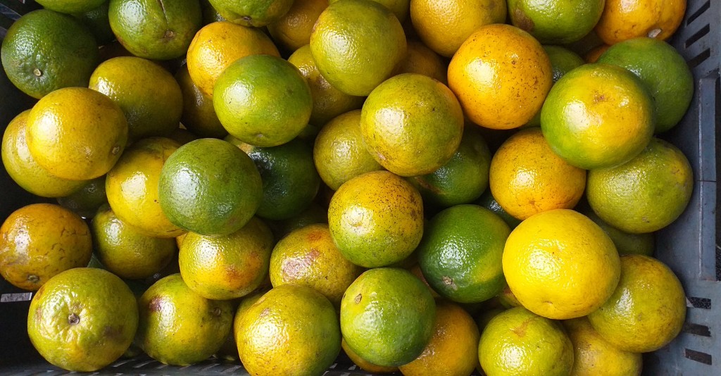Naranja valencia 2da