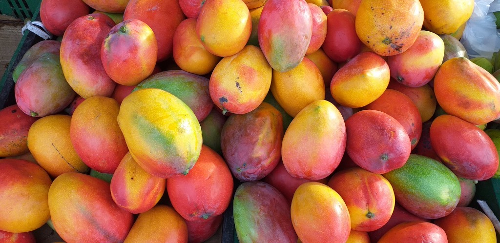 Mango yulima