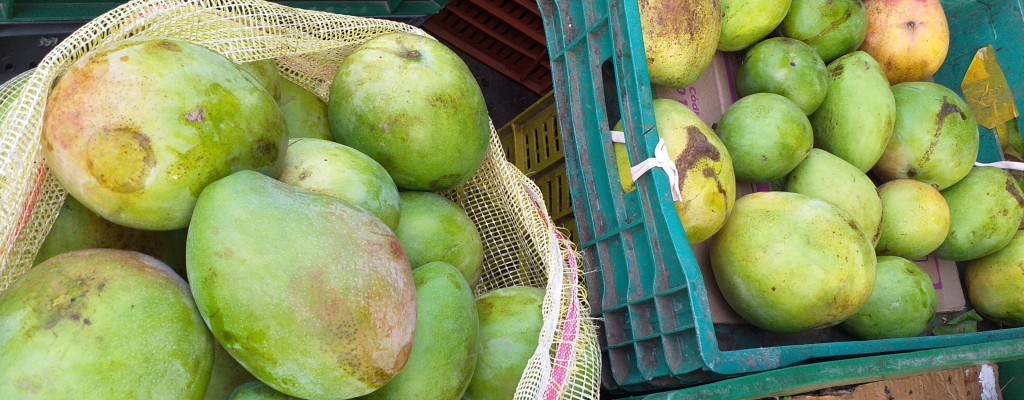 Mango filipino