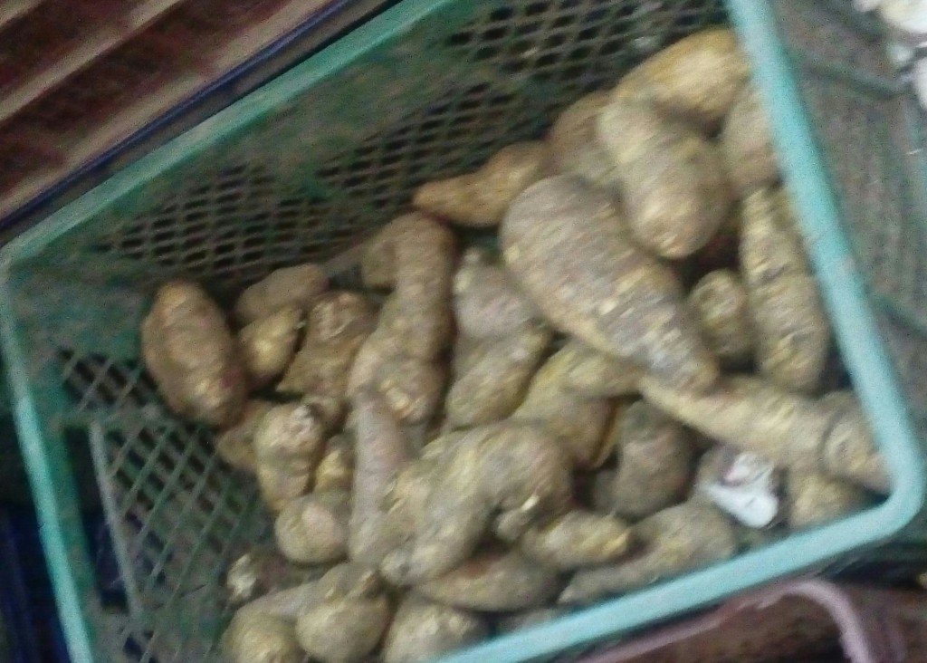 Arracacha