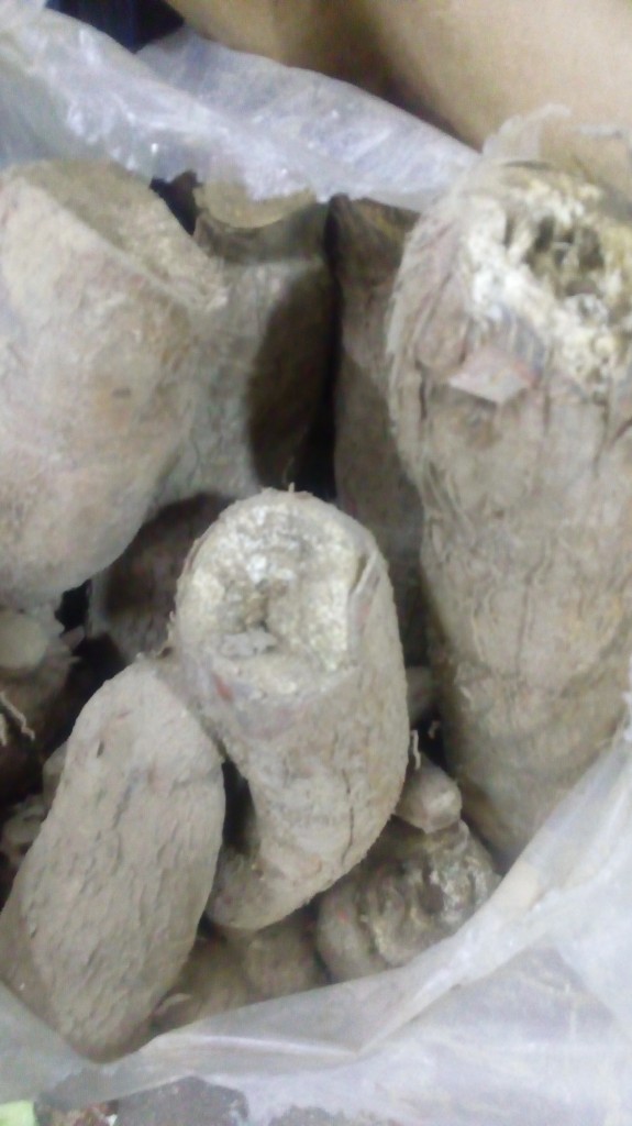 Yuca
