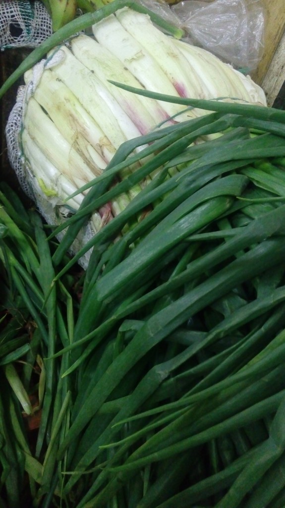 Cebolla larga