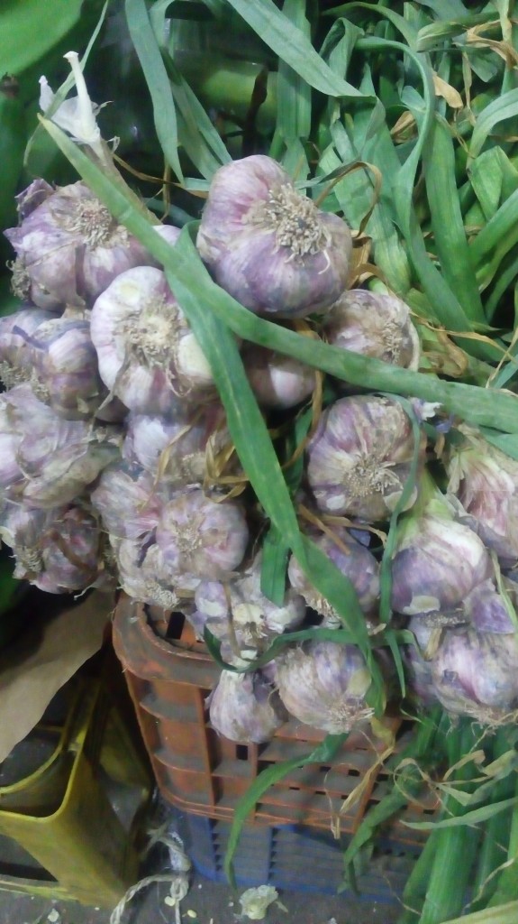 Ajo en rama